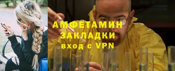 прущие грибы Нея