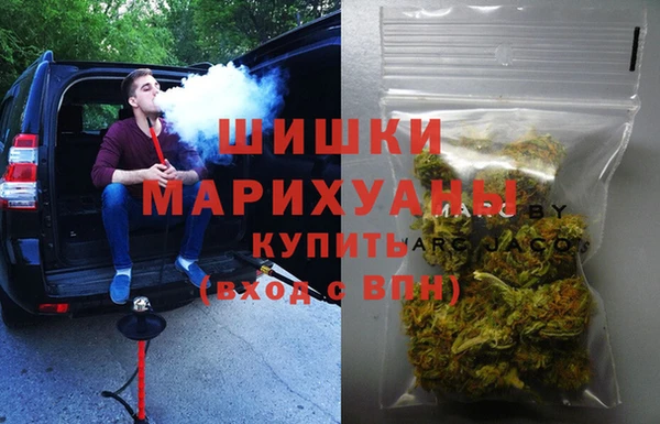 стаф Новозыбков
