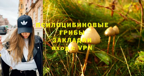 соль курить ск Новокубанск