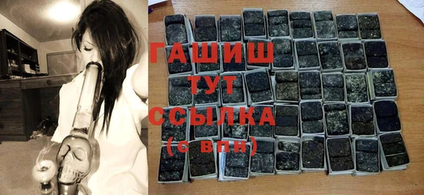 стаф Новозыбков