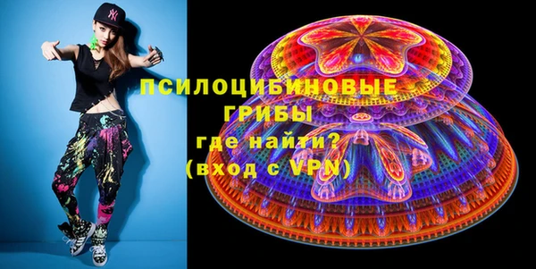 стаф Новозыбков