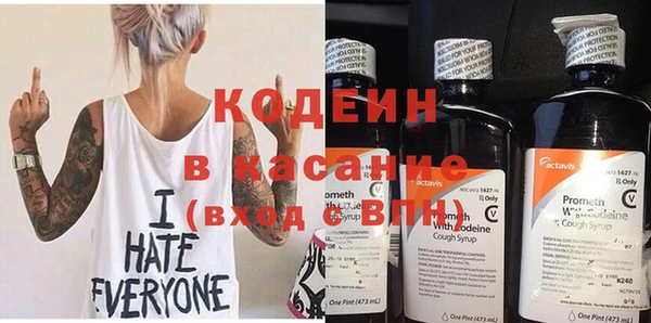стаф Новозыбков