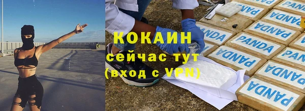 стаф Новозыбков