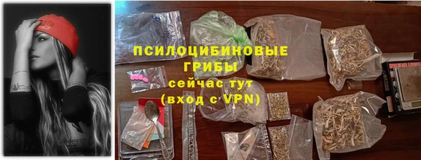 стаф Новозыбков